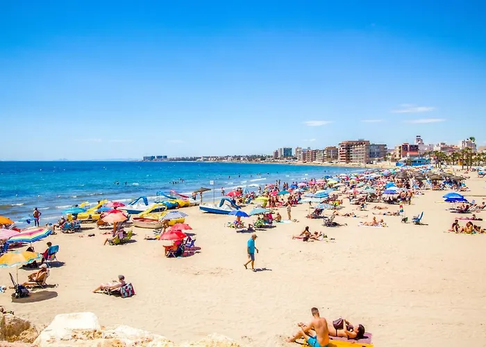 Espanatour Vega Baja Torrevieja